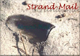 strand-mail Copyright: U.Eberth